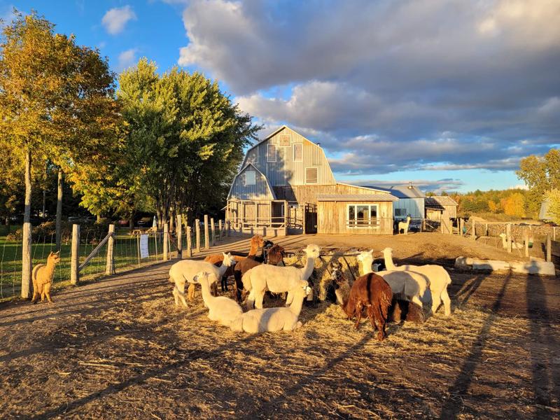 Ferme S & C s.e.n.c. — ferme locale au Québec