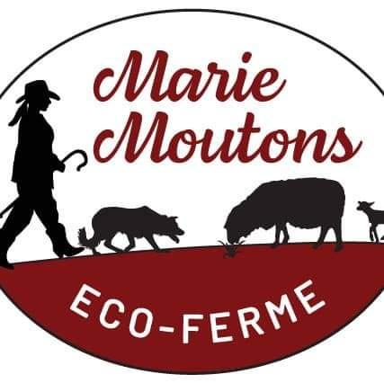 Ferme Marie Moutons Inc — ferme locale à Sainte-Anne-de-la-Pérade