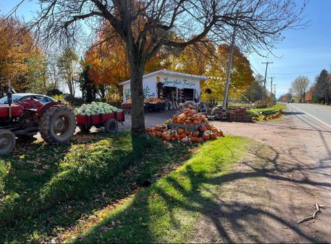 Fruits et légumes Cendrée INC. — ferme locale à L'Islet