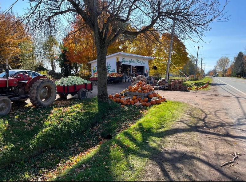 Fruits et légumes Cendrée INC. — ferme locale au Québec