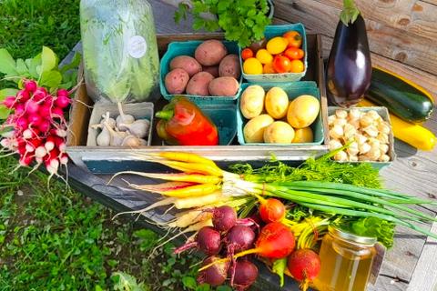 Des Jardins Orända — ferme locale au Québec