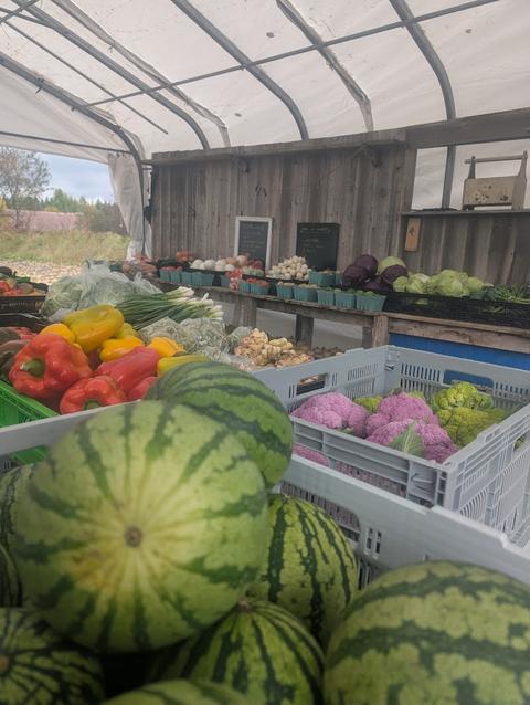 Les potagers de la Loup — ferme locale à Saint-Côme–Linière