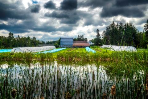 Les Hôtes Épinettes — ferme locale à Estrie