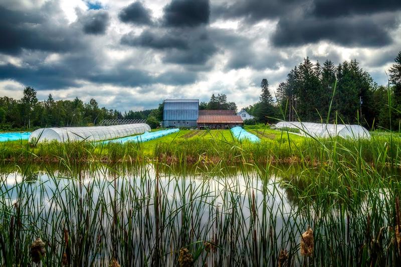 Les Hôtes Épinettes — ferme locale au Québec