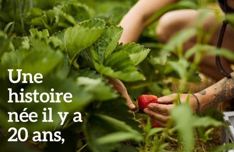 Les Jardins DiversiBio  — ferme locale à Farnham