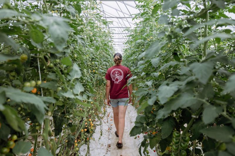 La Belle Binette — ferme locale au Québec