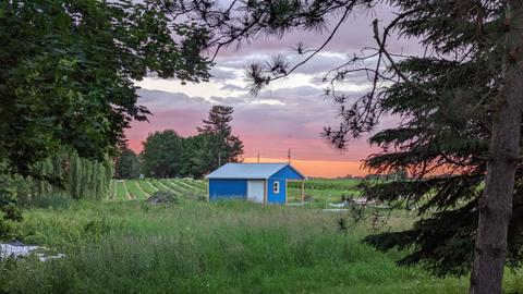 Les Petits Fruilato — ferme locale à Saint-Ignace-de-Stanbridge