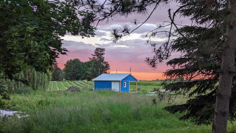 Les Petits Fruilato — ferme locale au Québec