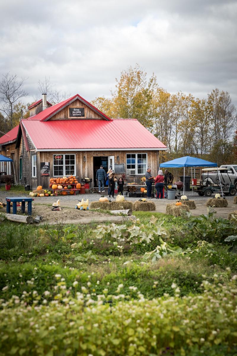 Ferme des Petits Torrieux — ferme locale au Québec