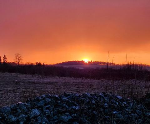 Les jardins Koja — ferme locale à Abitibi-Témiscamingue