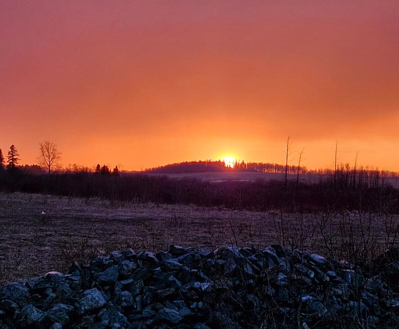 Les jardins Koja — ferme locale au Québec