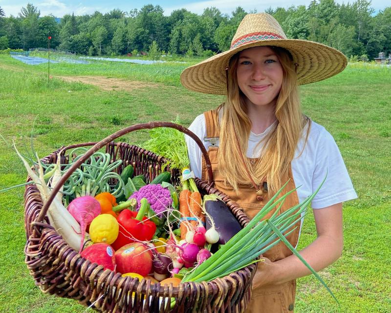 Mon Panier Bio - Aux Jardins d'Irisa — ferme locale au Québec