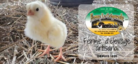 Ferme Le Crépuscule — ferme locale à Mauricie