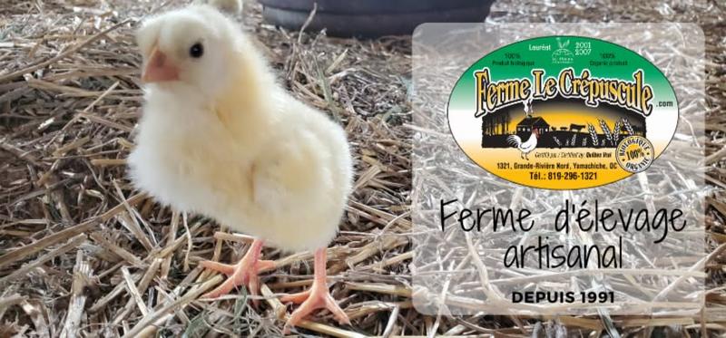 Ferme Le Crépuscule — ferme locale au Québec