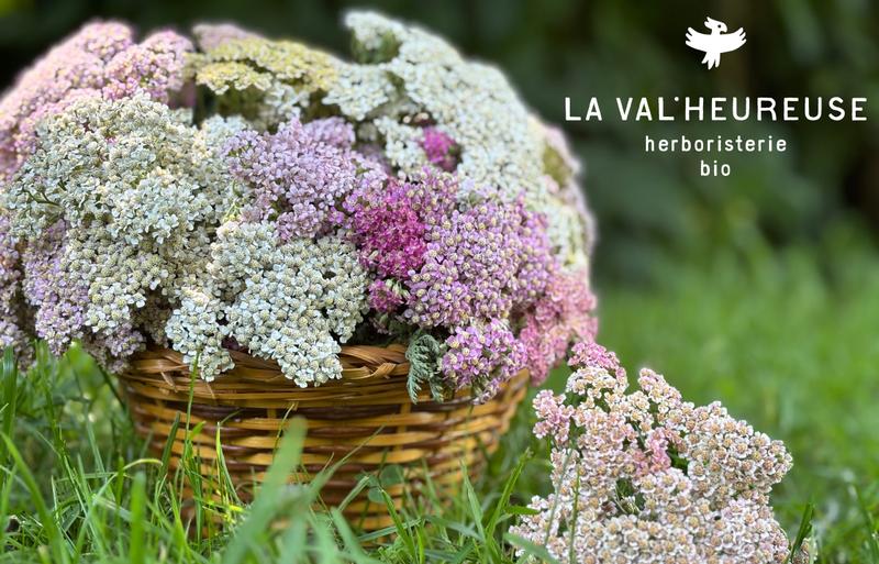 La Val'Heureuse Herboristerie — ferme locale au Québec