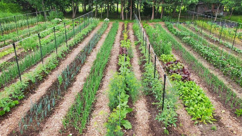 Les Jardins du Bas de la Rivière — ferme locale au Québec