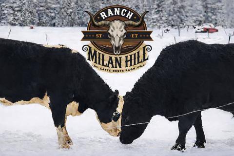Le Ranch Milan Hill — ferme locale au Québec