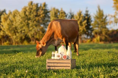 Fromagerie Missiska — ferme locale à Brome-Missisquoi