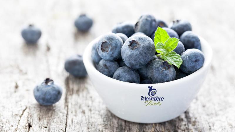 Bleuetière Asselin — ferme locale au Québec