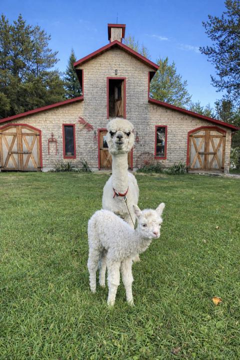 Ferme Dan Nature — ferme locale au Québec