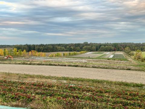 Les Jardins du Haricot Magique — ferme locale au Québec