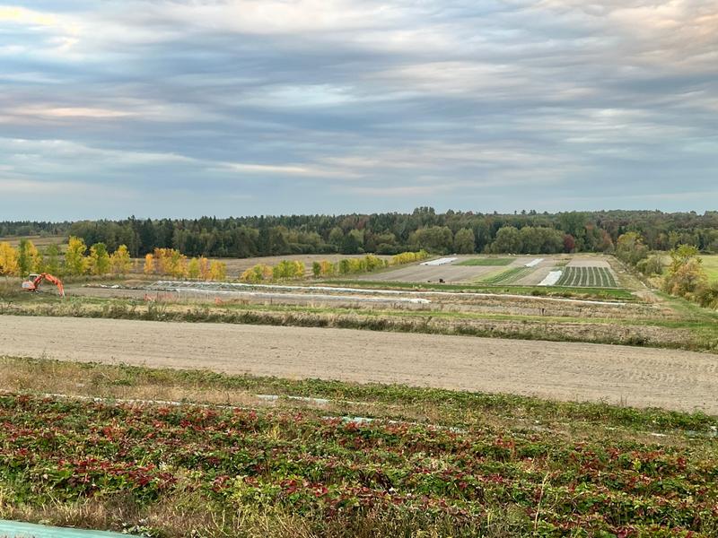 Les Jardins du Haricot Magique — ferme locale au Québec