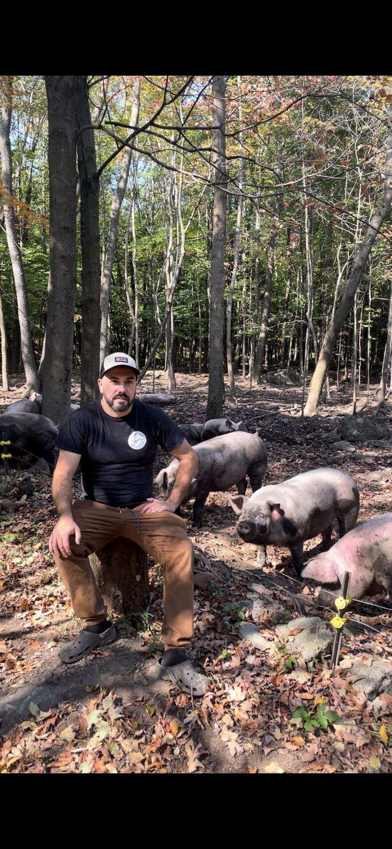 Domaine Horizon — ferme locale au Québec