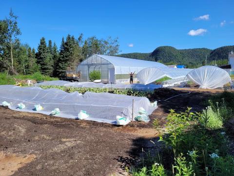 Les Jardins Maraîchers de Godbout — ferme locale à Godbout