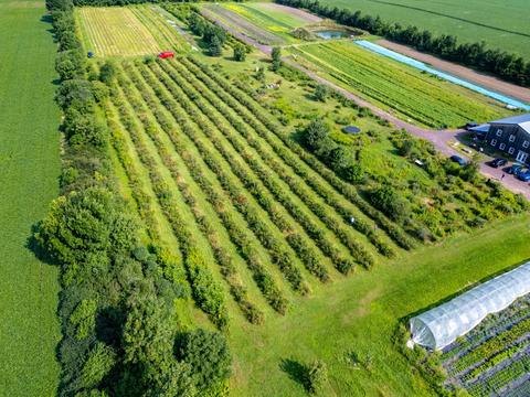 Fraîcheurs de Bellechasse — ferme locale au Québec