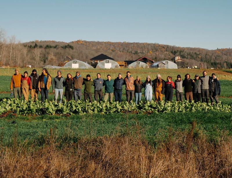 Ferme aux petits oignons — ferme locale au Québec