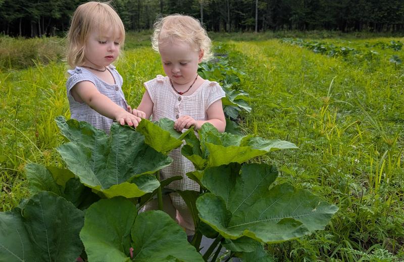 Les Sentiers d'à Côté — ferme locale au Québec