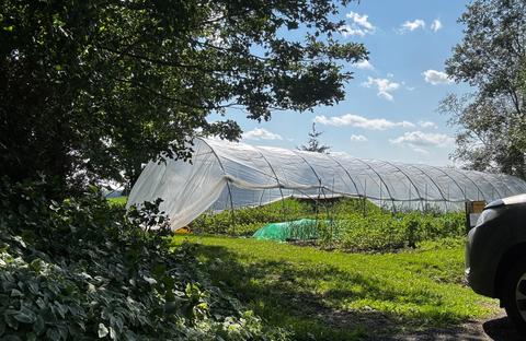 Potager Naga — ferme locale à Sainte-Agathe-de-Lotbinière