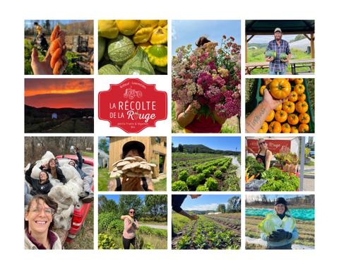 La Récolte de la Rouge — ferme locale à Brébeuf