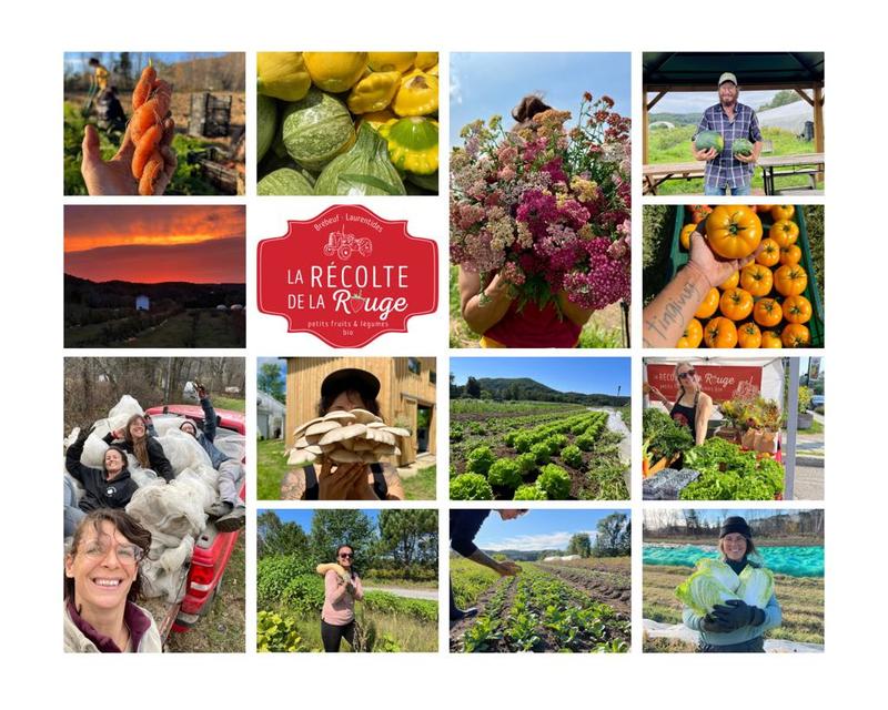 La Récolte de la Rouge — ferme locale au Québec