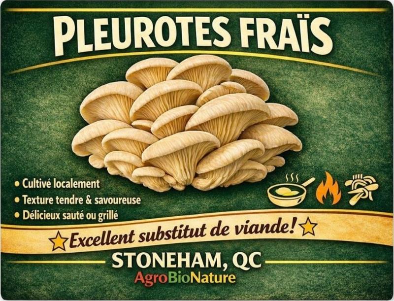 AgroBioNature — ferme locale au Québec