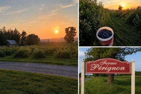 Ferme Pérignon — ferme locale à Hatley