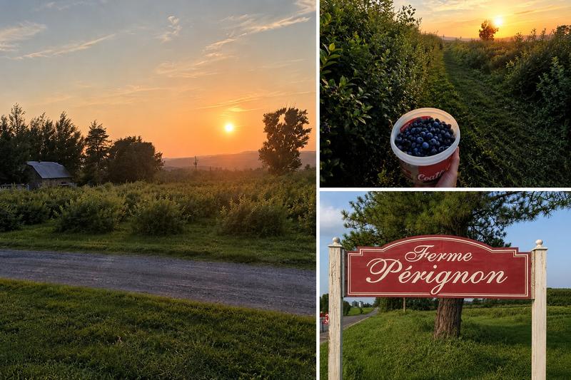 Ferme Pérignon — ferme locale au Québec
