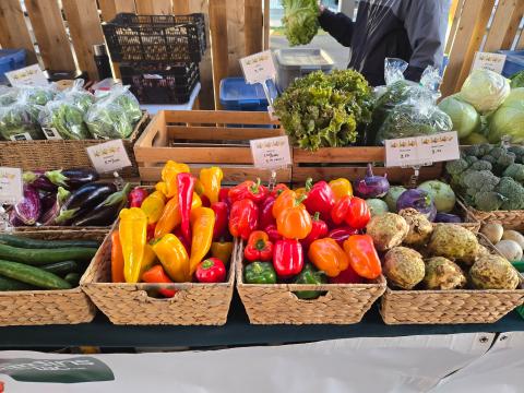 les jardins du lac — ferme locale à Montérégie