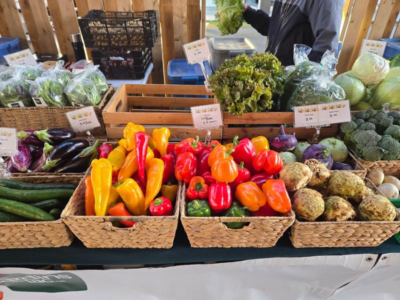 les jardins du lac — ferme locale au Québec