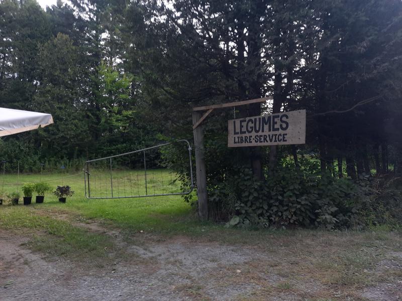 Robinson crudités — ferme locale au Québec