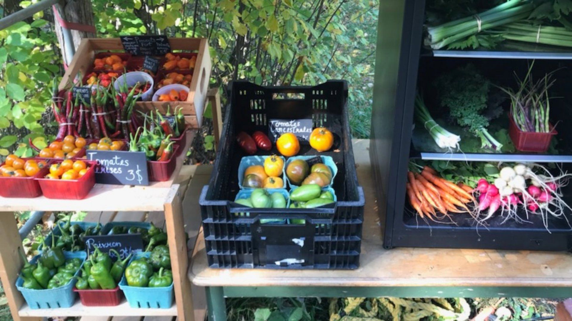 Robinson crudités — ferme locale à Cookshire-Eaton