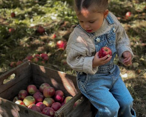 Le Verger Labonte — ferme locale au Québec